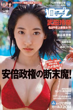 美女特黄特色免费观看